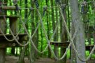 Sevierville Attraction: Foxfire Adventure Park