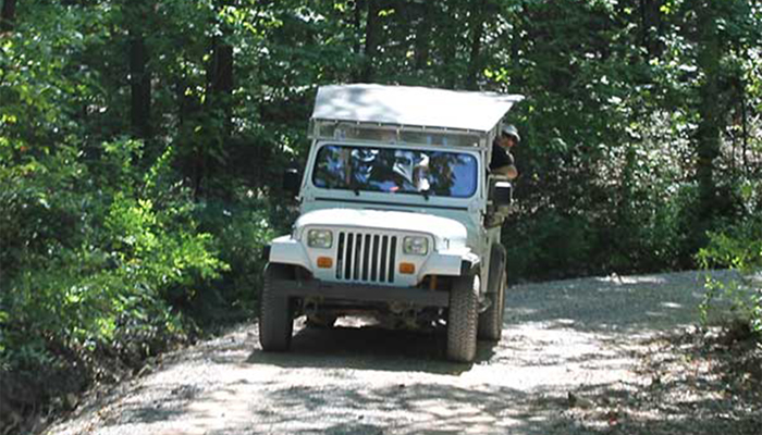 Jeep Tours With Wildwater