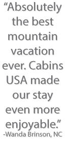 Pigeon Forge Cabins USA Guest Comment